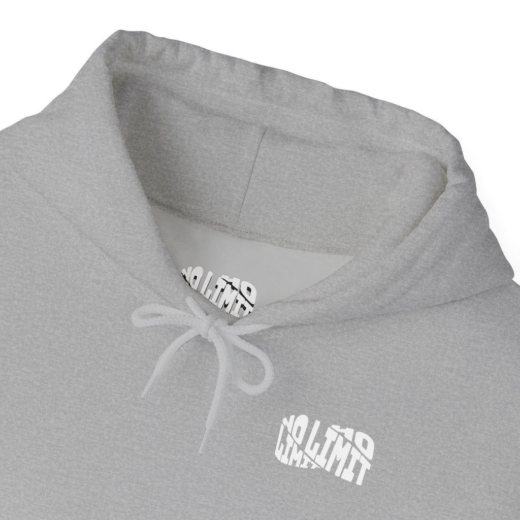 NO LIMIT EST. 2026 Hoodie 1.0 Gray