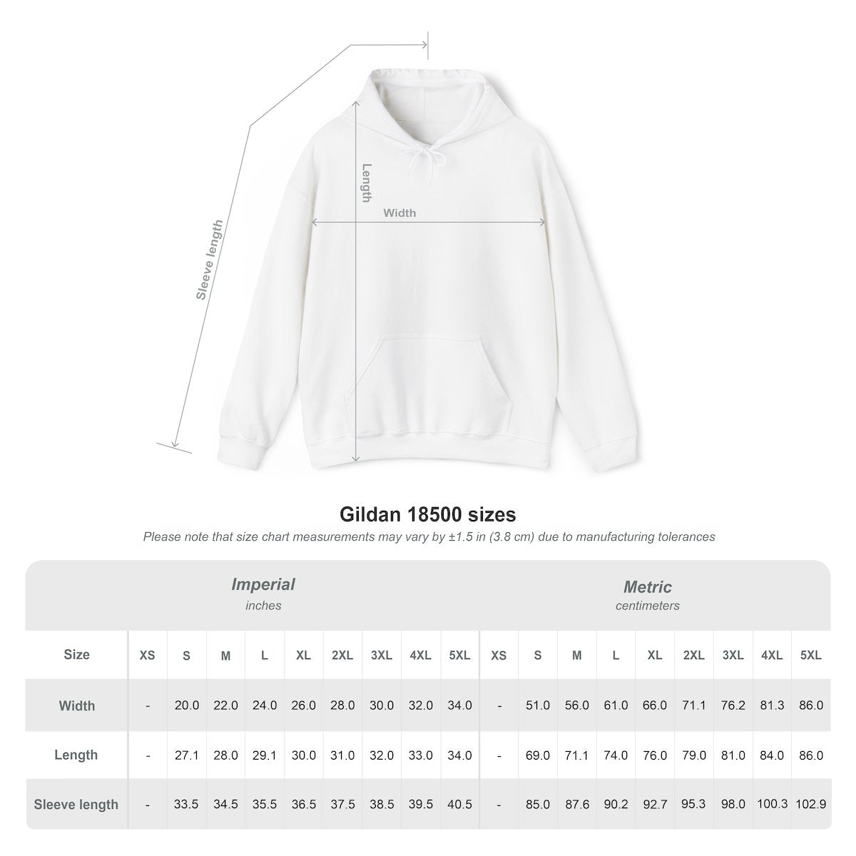 NO LIMIT EST. 2026 Hoodie 1.0 Gray